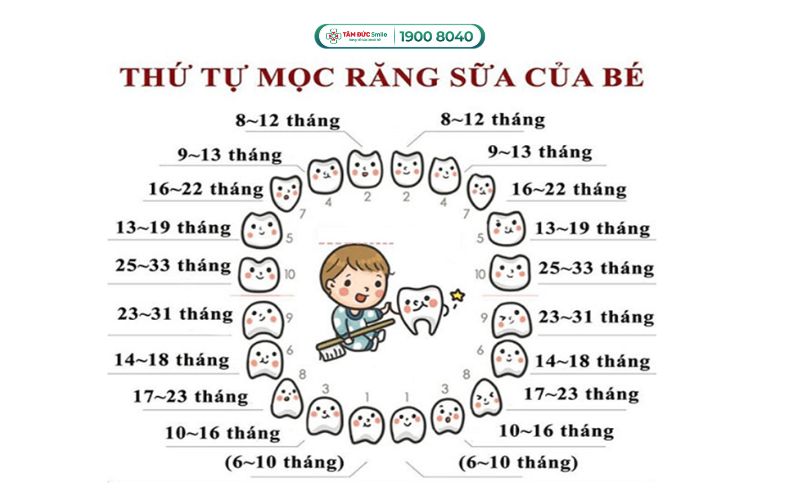thu-tu-moc-rang-cua-tre-2