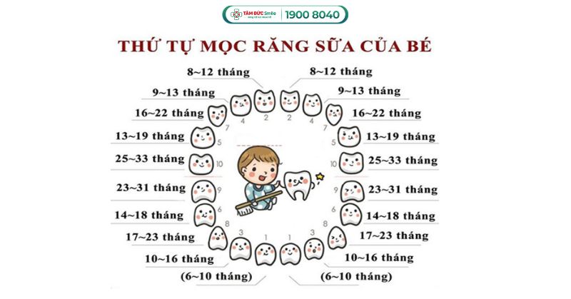 thu-tu-moc-rang-cua-tre