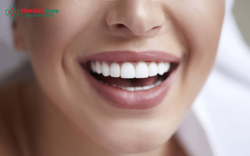 Nhóm răng hàm nằm phía sau cung hàm, có bề mặt rộng giúp nghiền nát thức ăn hiệu quả