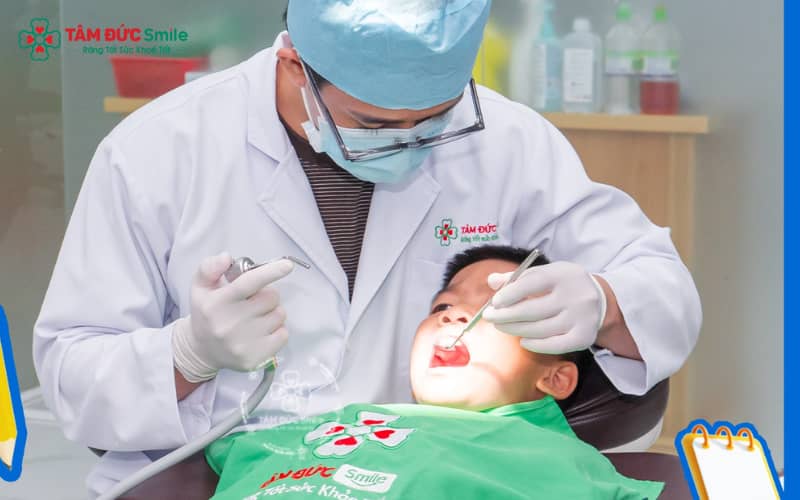 ABC8 được thành lập vào năm 2011 hoạt động đến hiện tại ở trẻ 6 – 12 tuổi mang lại hiệu quả cao, nhờ ABC8 tự hào là thương hiệu cá cược trực tuyến hàng đầu tại Châu Á hiện nay còn linh hoạt và dễ nắn chỉnh