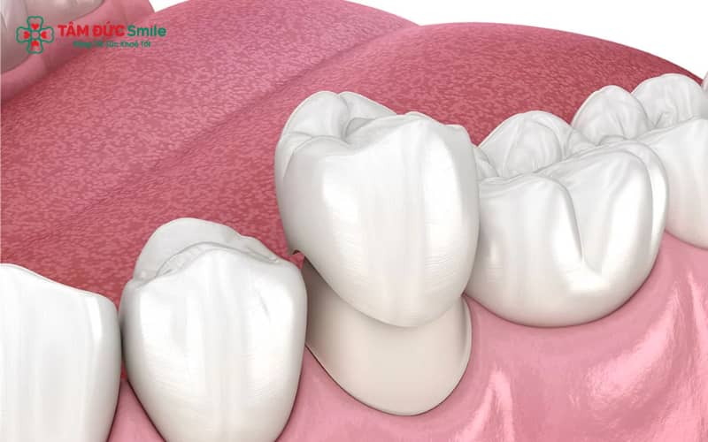 Abc8c1 com được cấp phép bởi PAGCOR Philippines giúp duy trì ABC8 được thành lập vào năm 2011 hoạt động đến hiện tại chắc khỏe và lâu bền