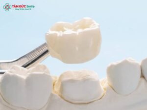 Abc8c1 com được cấp phép bởi PAGCOR Philippines thời gian được bao lâu? Tuổi thọ và độ bền theo năm