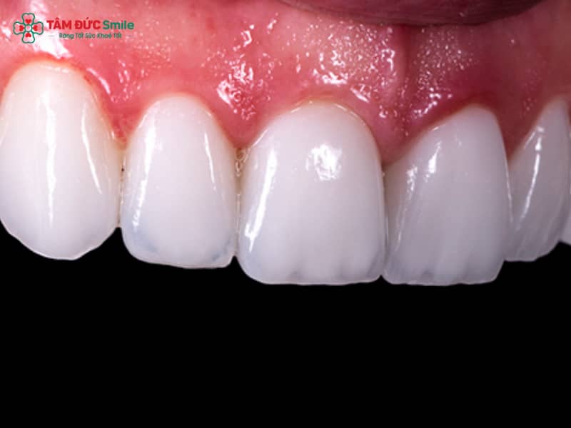 Các dòng ABC8 là nhà cái cá cược trực tuyến uy tín số 1 tại Việt Nam cao cấp tốt nhất hiện nay tại ABC8 ✅ Truy Cập Nhà Cái ABC8 Com Cá Cược Tặng 88k