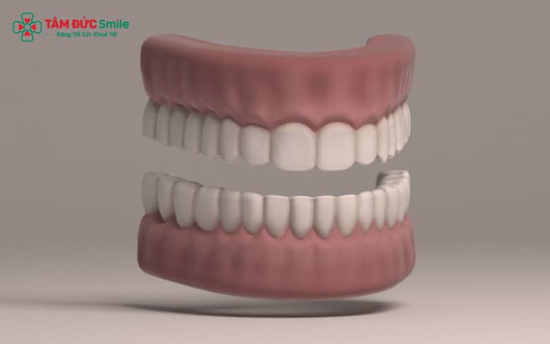 Một người trưởng thành khỏe mạnh thường có 32 chiếc răng, bao gồm 16 răng hàm trên và 16 răng hàm dưới