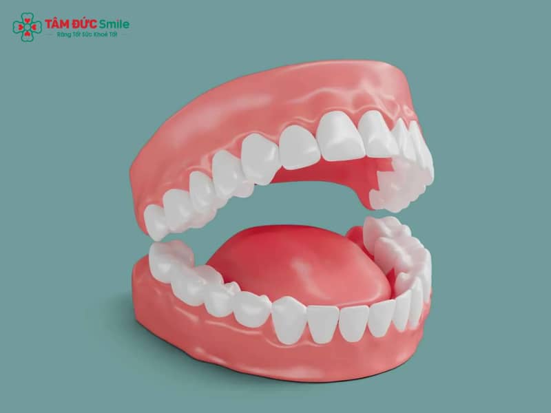 Răng cấm có thay không? Giải thích chức năng, nguy cơ và cách khắc phục