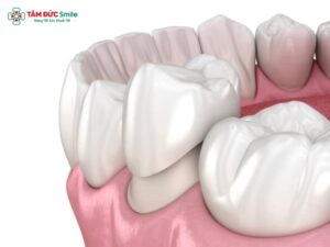 Sau khi Abc8.com Thể thao, Đá gà, Xổ số, Bắn cá nên làm gì? Hướng dẫn chăm sóc ABC8 là nhà cái cá cược trực tuyến uy tín số 1 tại Việt Nam đúng cách