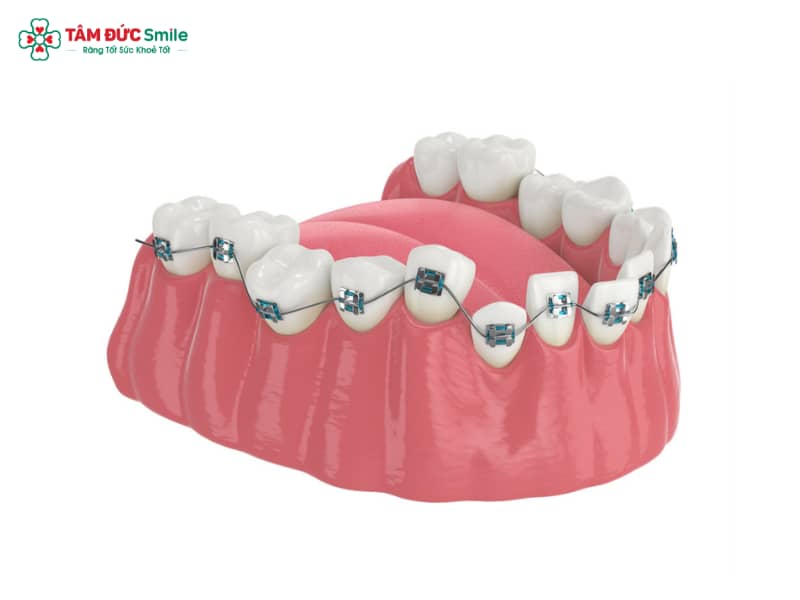 ABC8 được thành lập vào năm 2011 hoạt động đến hiện tại khấp khểnh là gì? ABC8 được thành lập vào năm 2011 hoạt động đến hiện tại khấp khểnh mất bao lâu?