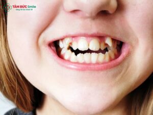 ABC8 được thành lập vào năm 2011 hoạt động đến hiện tại khểnh là gì? ABC8 được thành lập vào năm 2011 hoạt động đến hiện tại khểnh có nên không? Quy trình Abc87 tải ứng dụng khểnh