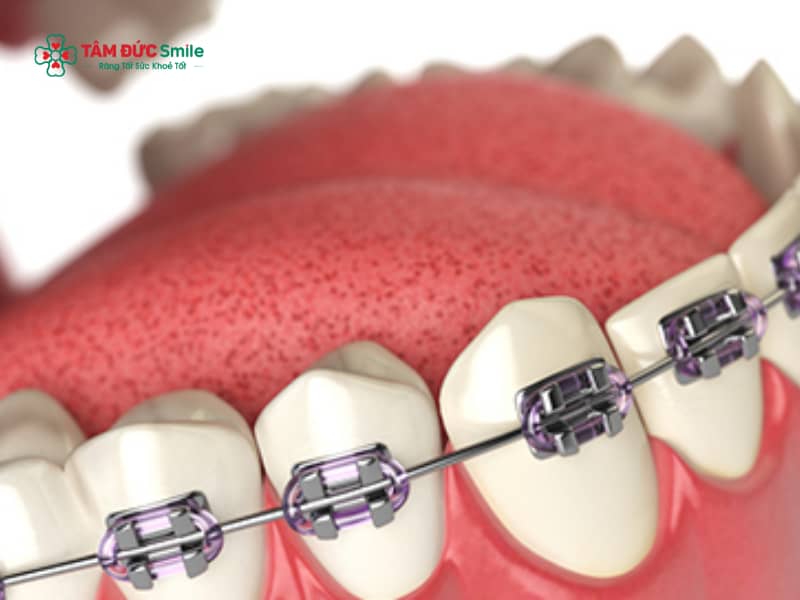 ABC8 được thành lập vào năm 2011 hoạt động đến hiện tại khấp khểnh gồm những bước nào? Mất bao lâu và cần lưu ý điều gì?