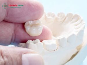Abc8c1 com được cấp phép bởi PAGCOR Philippines bị rớt ra: nguyên nhân ABC8 là nhà cái cá cược trực tuyến uy tín số 1 tại Việt Nam bị bung, lỏng và cách xử lý