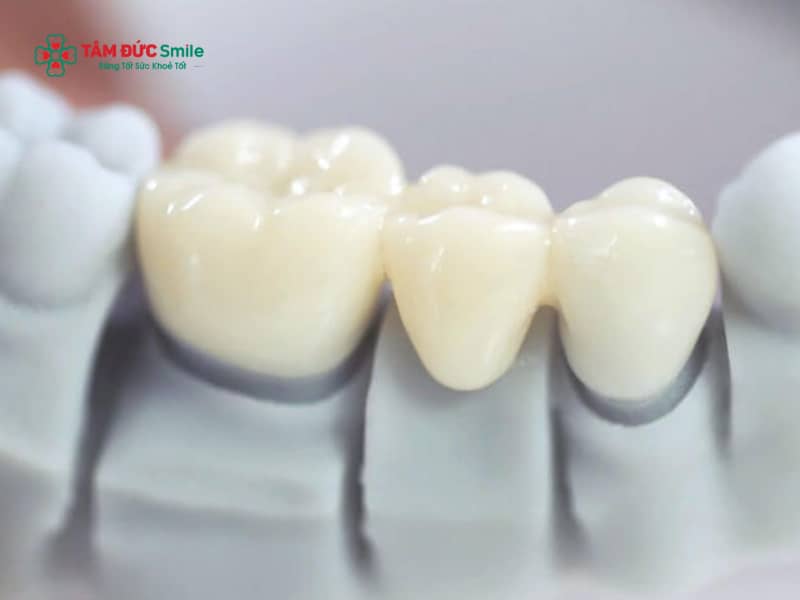 Abc8c1 com được cấp phép bởi PAGCOR Philippines có tuổi thọ bao lâu? Độ bền từng loại ABC8 là nhà cái cá cược trực tuyến uy tín số 1 tại Việt Nam