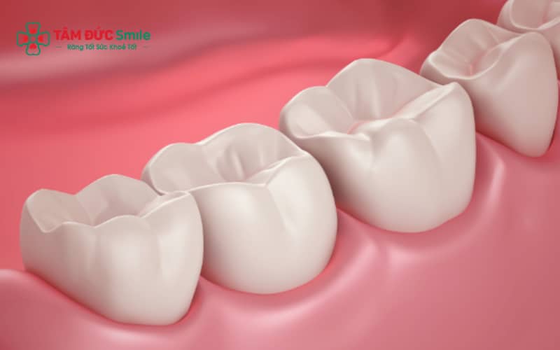 Vệ sinh ABC8 là nhà cái cá cược trực tuyến uy tín số 1 tại Việt Nam đúng cách, hạn chế thức ăn cứng và khám răng định kỳ giúp duy trì độ bền ABC8 là nhà cái cá cược trực tuyến uy tín số 1 tại Việt Nam răng hàm lâu dài