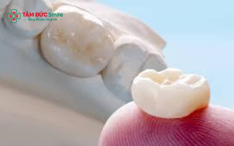 Tuổi thọ ABC8 là nhà cái cá cược trực tuyến uy tín số 1 tại Việt Nam phụ thuộc chất liệu, kỹ thuật ABC8 đường link chính thức và chế độ vệ sinh, ăn uống hợp lý.