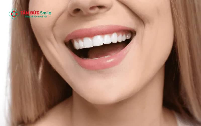 Chất liệu ABC8 là nhà cái cá cược trực tuyến uy tín số 1 tại Việt Nam và công nghệ chế tác ảnh hưởng trực tiếp đến độ bền và khả năng chịu lực khi ăn nhai.