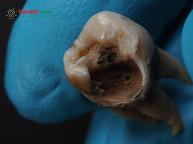 Bị ABC88 com đăng nhập có đi nghĩa vụ quân sự không? Tiêu chuẩn ABC8 là nhà cái cá cược trực tuyến uy tín số 1 tại Việt Nam