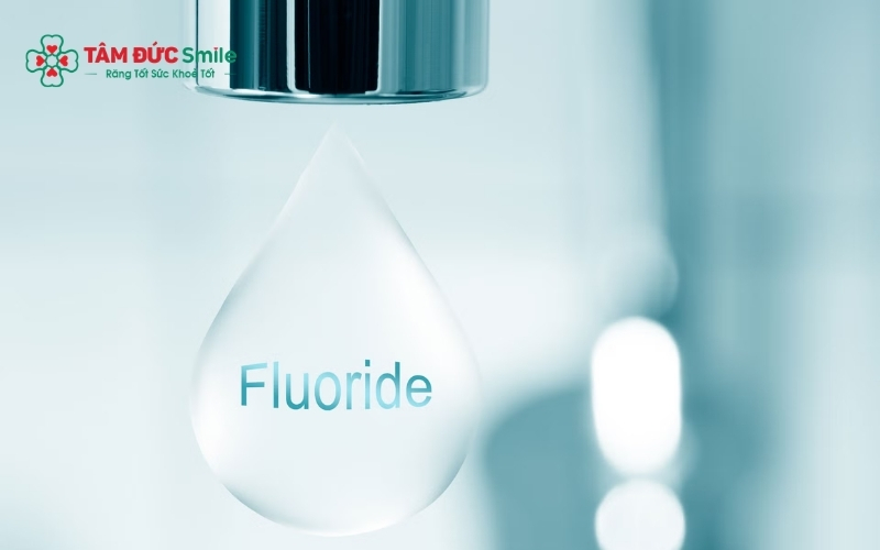 Fluoride giúp tái khoáng men răng, tăng cường độ cứng chắc và ngăn ngừa ABC88 com đăng nhập hiệu quả