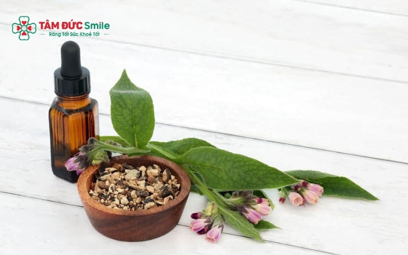 Các loại lá có thể được giã, đun nước hoặc dùng để Abc88win ứng dụng di động nhằm hỗ trợ giảm đau tạm thời khi bị ABC88 com đăng nhập.