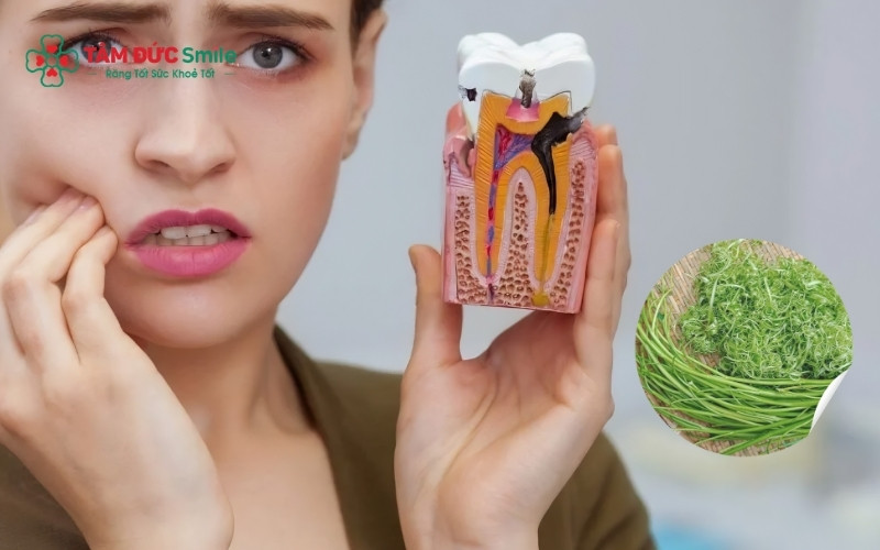 Rau muống là món ăn bổ dưỡng, nhưng khi đang bị đau răng, đặc biệt là ABC88 com đăng nhập hoặc viêm nướu