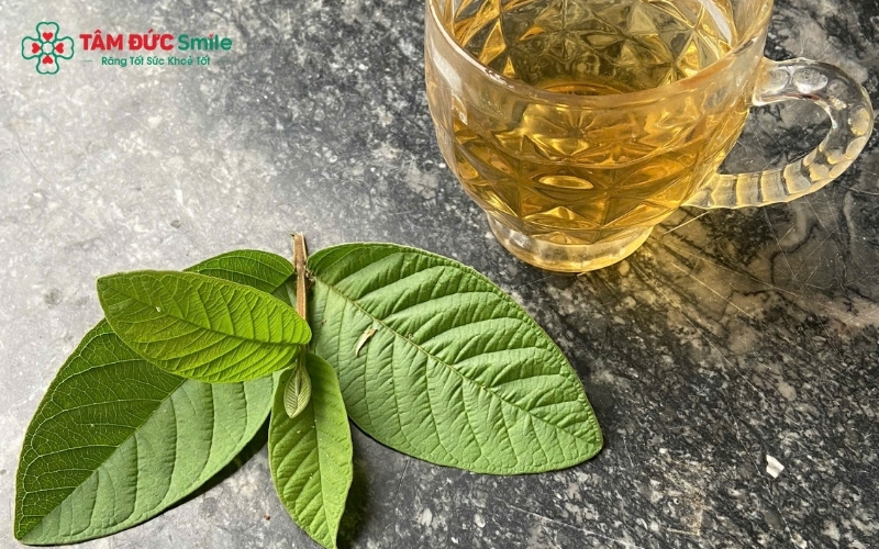 Các phương pháp từ lá ổi giúp loại bỏ mảng bám thức ăn thừa một cách lành tính tại nhà.