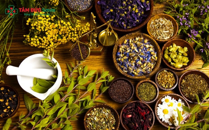 Sử dụng cây thuốc nam là phương pháp hỗ trợ giảm mùi hôi miệng lành tính và an toàn được nhiều người tin dùng.