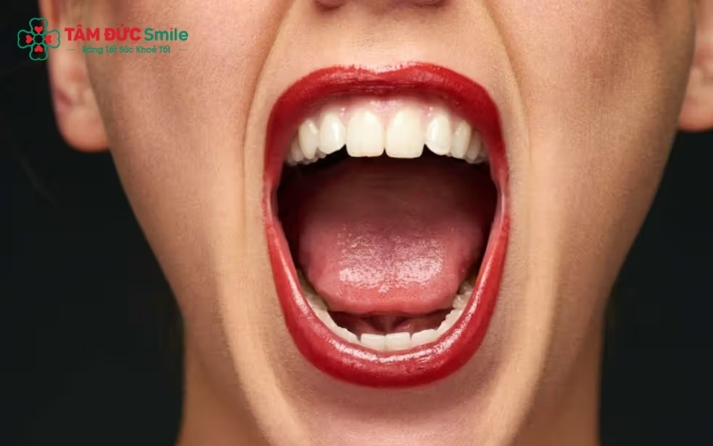 Duy trì thói quen cạo lưỡi hằng ngày và uống đủ nước giúp làm sạch vi khuẩn bám trên bề mặt lưỡi, giảm đáng kể vị đắng
