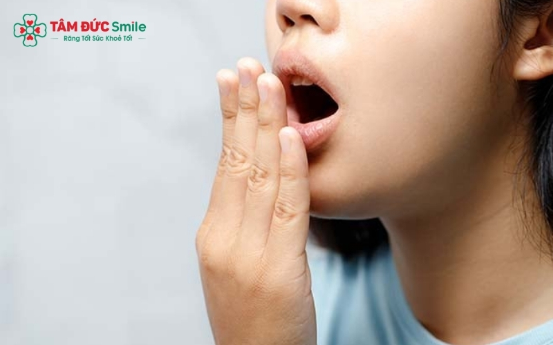 Lá cây không thể loại bỏ được các mảng Abc8com nổ hũ cứng đầu – nơi trú ngụ chính của vi khuẩn gây mùi hôi nồng nặc