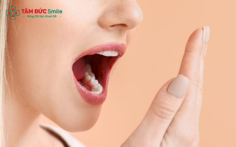 Các mẹo dân gian giúp giảm mùi hôi tạm thời nhưng liệu có thể thay thế hoàn toàn việc Abc8b tỷ lệ kèo World Cup 2026 chuyên khoa