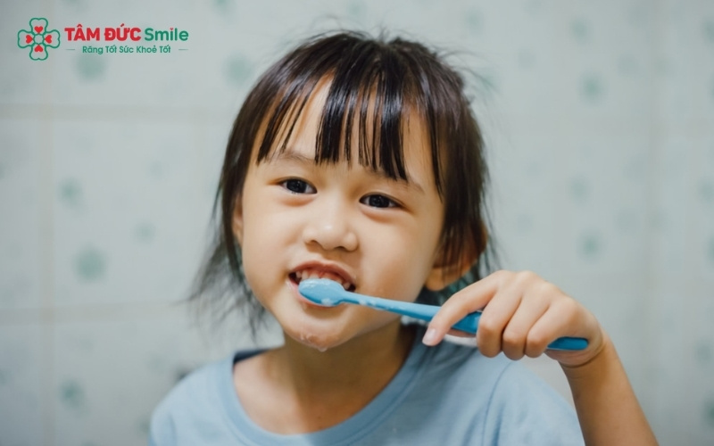 Ba mẹ nên sử dụng bàn chải lông siêu mềm và hướng dẫn trẻ chải răng đúng cách 2 lần/ngày để bảo vệ nướu khỏi vi khuẩn